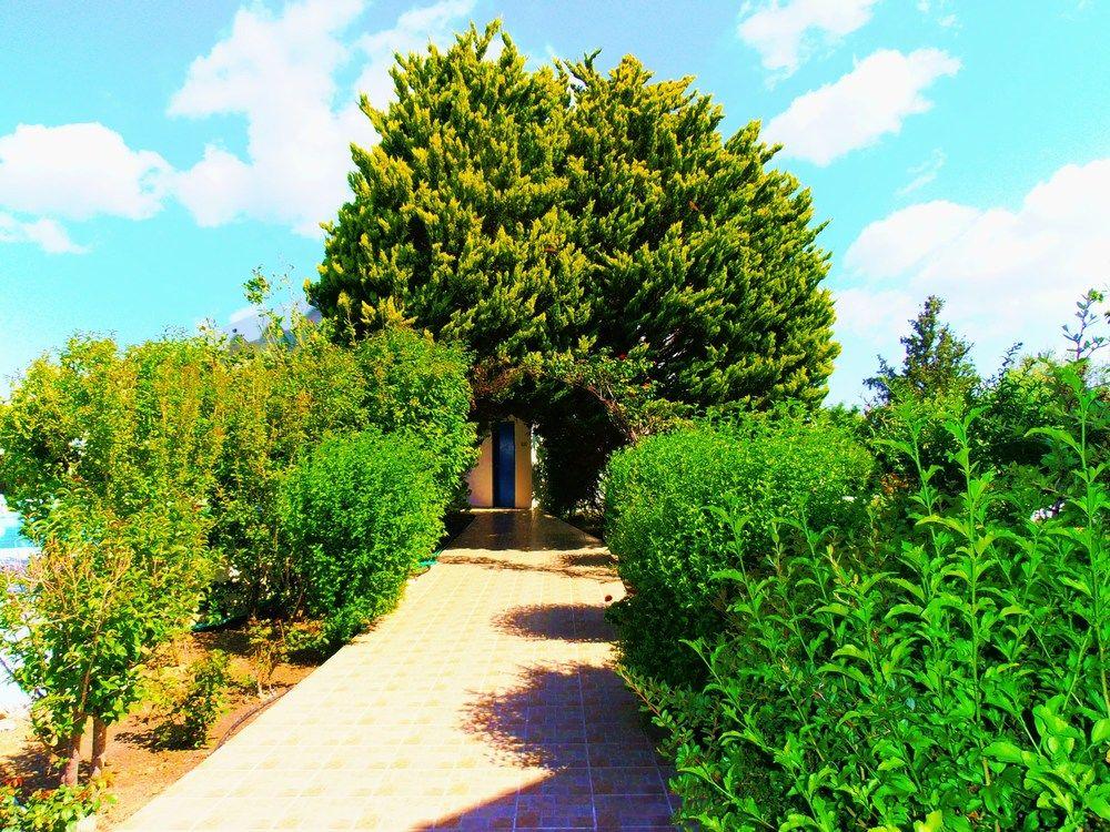 Belvita Hotel Kolymbia Dış mekan fotoğraf